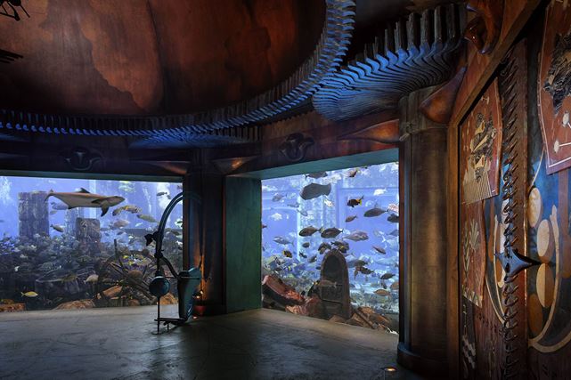 akwarium w dubaju lost chambers